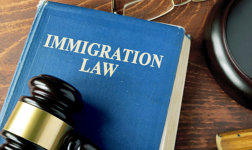 Immigration Law