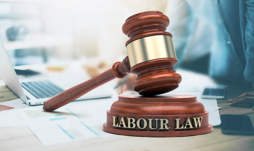 Employement Advice and Labour Law